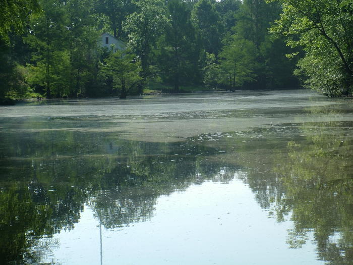 Under Aged RVers May 11, 2005